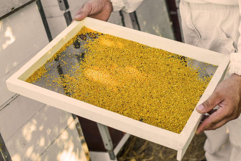 Bee pollen/bee pollen in premium beekeeping quality, from ImkerPur, 500 g, completely residue-free, sweet and mild, (conventional, 500 g) 500 g (pack of 1) - NewNest Australia