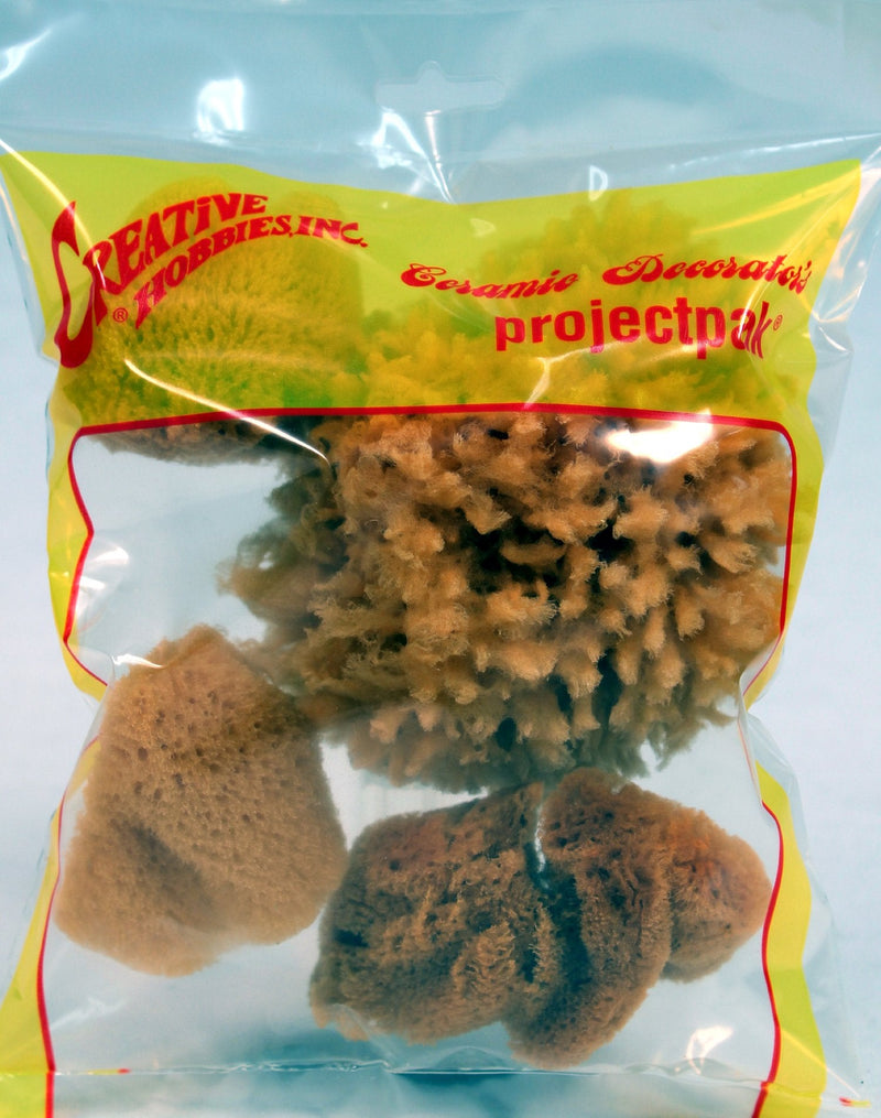Creative Hobbies Synthetic and Natural Silk Sponges for Painting, Crafts, Ceramics, Pottery and More, Value Pack of 7 Sponges - NewNest Australia