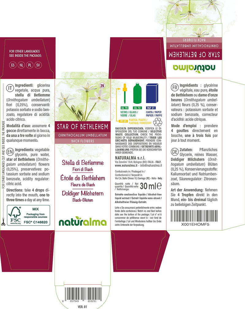 Star of Bethlehem (Ornithogalum umbellatum) Naturalma Bach Flowers | No. 29 | Drops 30 ml | Alcohol-Free Liquid Extract | Flower essences | Vegan and Without Alcohol 29- Star of Bethlehem - NewNest Australia