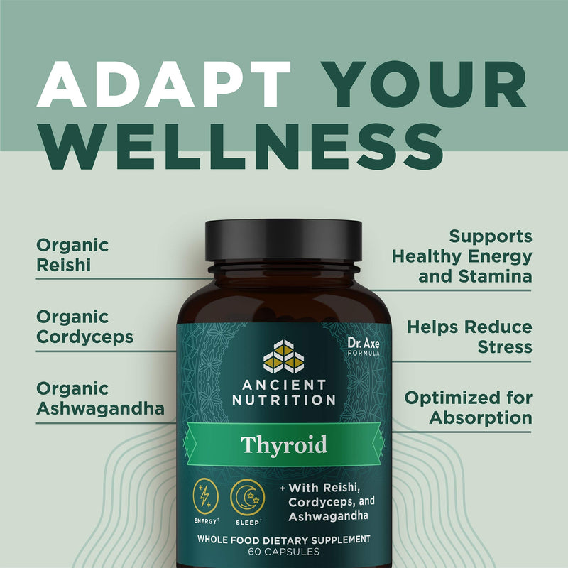 Thyroid Support Supplement with Ashwaghanda by Ancient Nutrition, Thyroid Capsules, Promotes Restful Sleep and Reduced Stress, Gluten Free, Paleo and Keto Friendly, 60ct - NewNest Australia