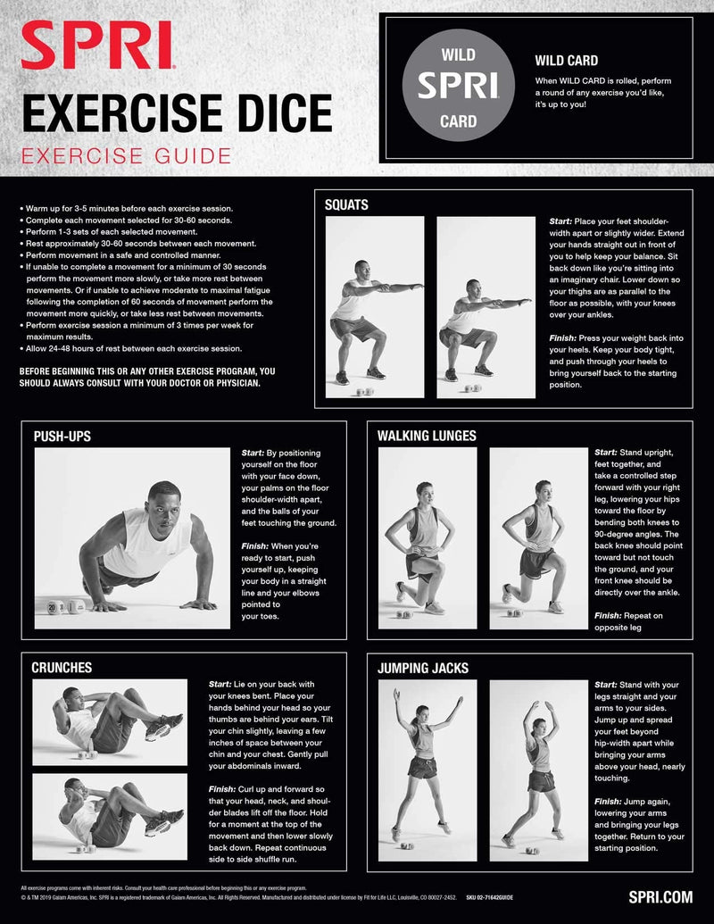 SPRI Exercise Dice (6-Sided) - Game for Group Fitness & Exercise Classes - Includes Push Ups, Squats, Lunges, Jumping Jacks, Crunches & Wildcard (Includes Carrying Bag) - NewNest Australia