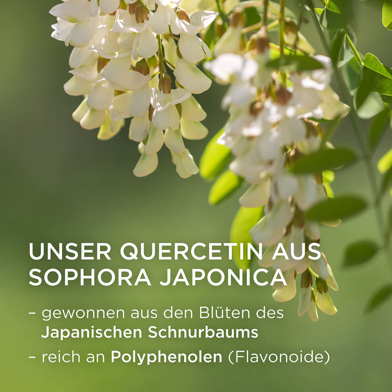 Nature'S Way Quercetin Zinc Gummies - Strengthen The Immune System With Lemon Flavor - From The Flowers Of The Japanese String Tree - 60X Vegetarian Gummy Bears With Zinc Without Artificial Additives - NewNest Australia