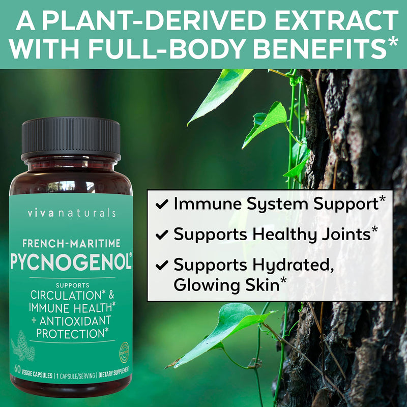 Pycnogenol 100mg from French Maritime Pine Bark Extract - Healthy Blood Circulation Supplements, Powerful Antioxidant Protection, Joint Support and Immune Support (60 Veggie Capsules) 60 Count (Pack of 1) - NewNest Australia