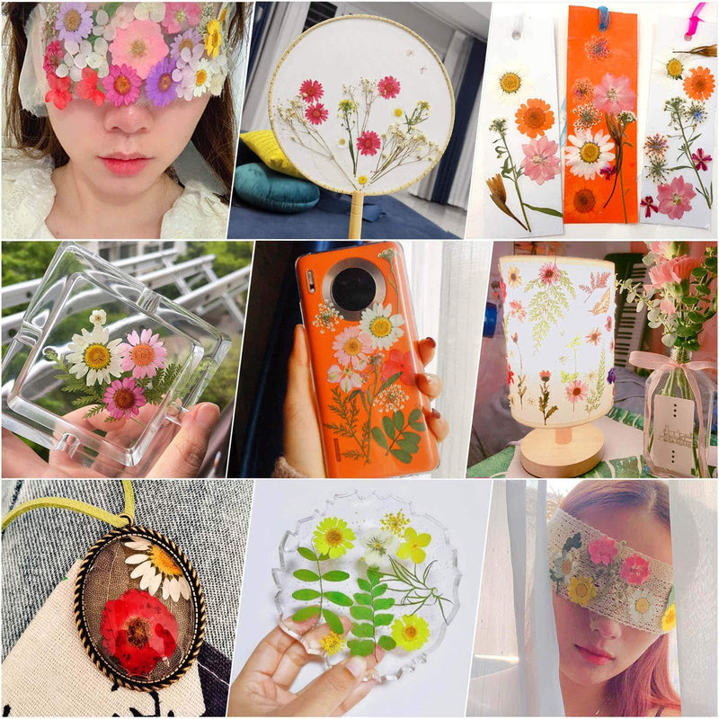 100Pcs Dried Flowers for Resin Molds, Thrilez Natural Dried Pressed Flower Herbs kit for Scrapbooking Supplies Card Making Supplies Resin Jewelry Soap and Candle Making(Blue, Purple, Red) - NewNest Australia