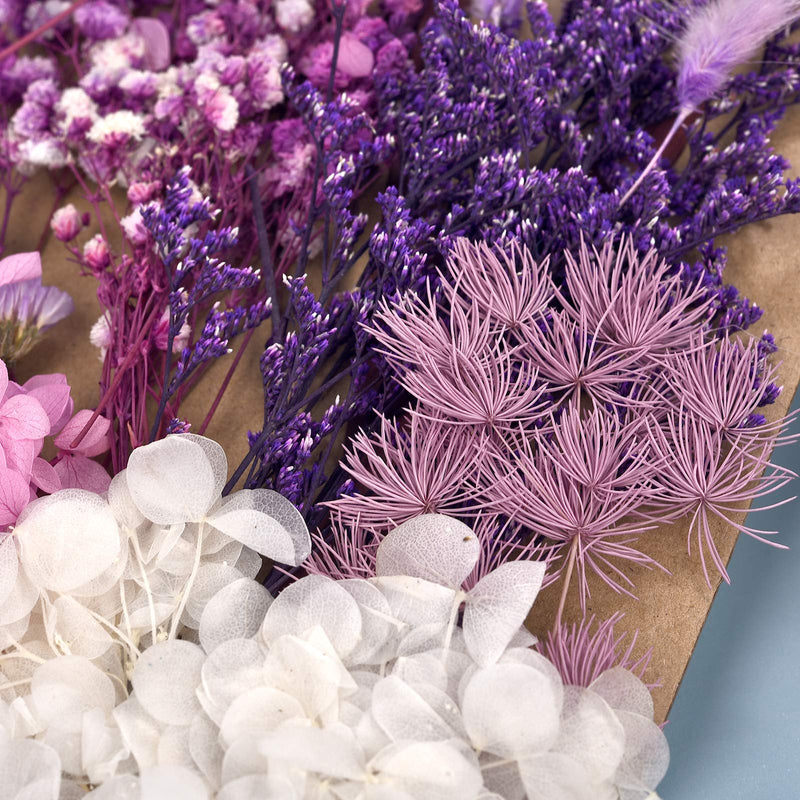 Dried Pressed Flowers for Soap Candle Making and Resin Jewelry Making Pressed Flower (Purple Blue Set) A-blue purple - NewNest Australia