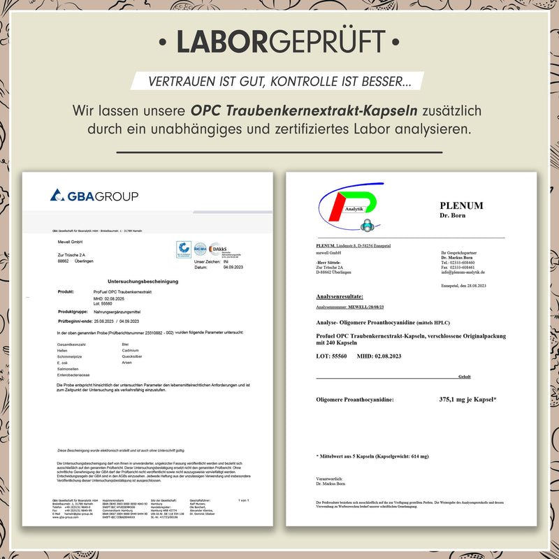 OPC grape seed extract - 240 capsules with 75% pure OPC per capsule - laboratory tested (HPLC method) with certificate: real 75% OPC content - 500 mg - 100% vegan 1x 240 capsules - NewNest Australia