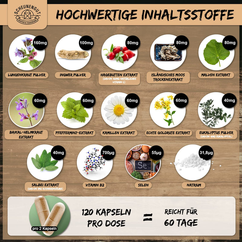 Lungenkraft Lungwort Capsules Strong - Important: Laboratory-Tested 14-Fold Complex With Lungwort, Ginger, Rose Hip, Icelandic Moss, Selenium, Sage And More I 120 Capsules I From De I Scheunengut - NewNest Australia