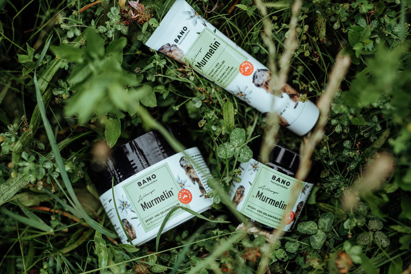 BANO Arlberger Marmot Sport and Joint Ointment, Original Marmot Ointment, Made in Austria, with Marmot Oil, Arnica, Mountain Pine Oil, Menthol, 100 ml - NewNest Australia