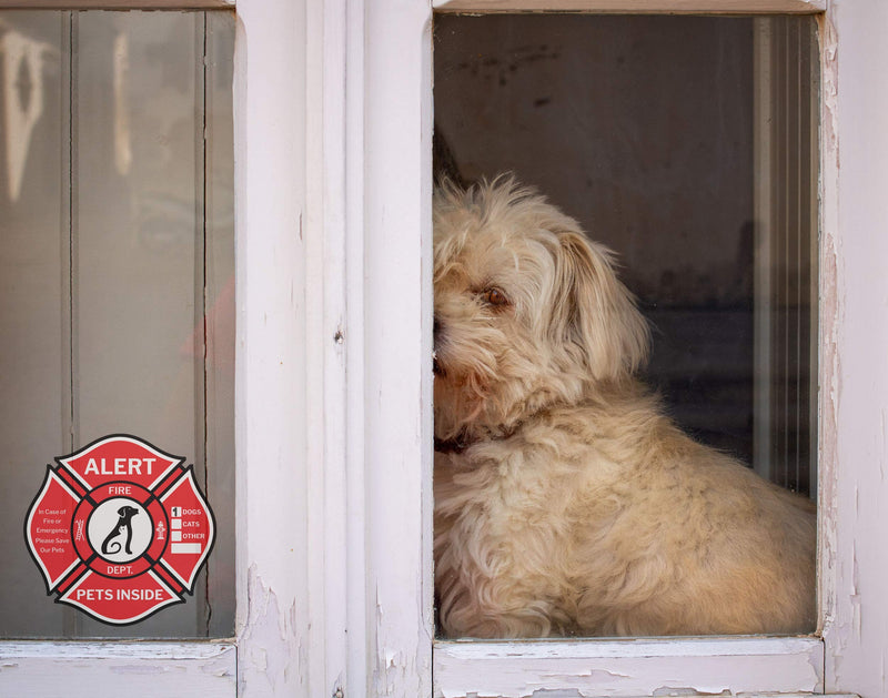 Clever Signs Pet Alert Sticker, Double-Sided 6,Rescue Pet Decals, Pet Alert Stickers for House Home Window Pet Door-Emergency Pet Kit, UV Resistant-Waterproof - NewNest Australia