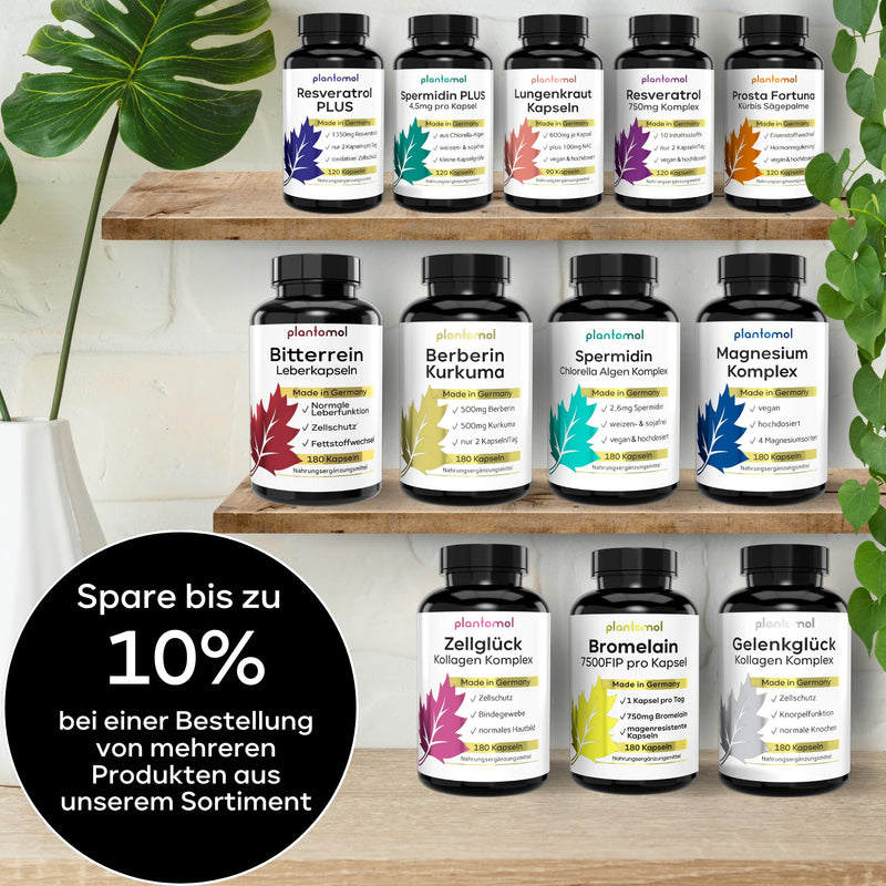 13-Fold Bitterrein Liver Complex - 120 Liver Capsules With 13 Ingredients Such As Choline For Normal Liver Function & Milk Thistle Artichoke Dandelion Desmodium - Liver Treatment Capsules By - NewNest Australia