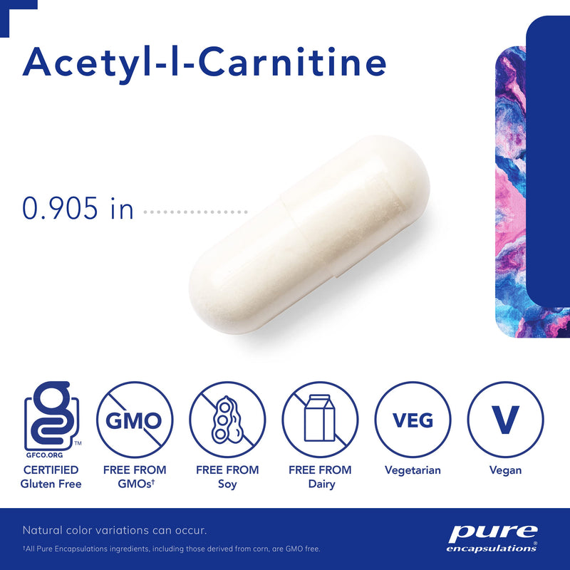 Pure Encapsulations Acetyl-l-Carnitine 500 mg | Memory Supplement for Brain, Focus, and Calmness* | 60 Capsules - NewNest Australia
