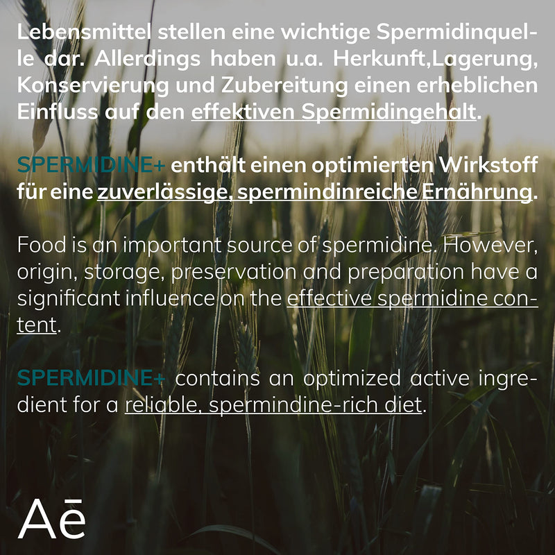 Spermidin Plus High Dosage - Wheat Germ Extract In Optimized Formula - High Spermidine Content, High Organic Availability - Lab Tested Quality From Germany - 60 Capsules, Month Pack - NewNest Australia