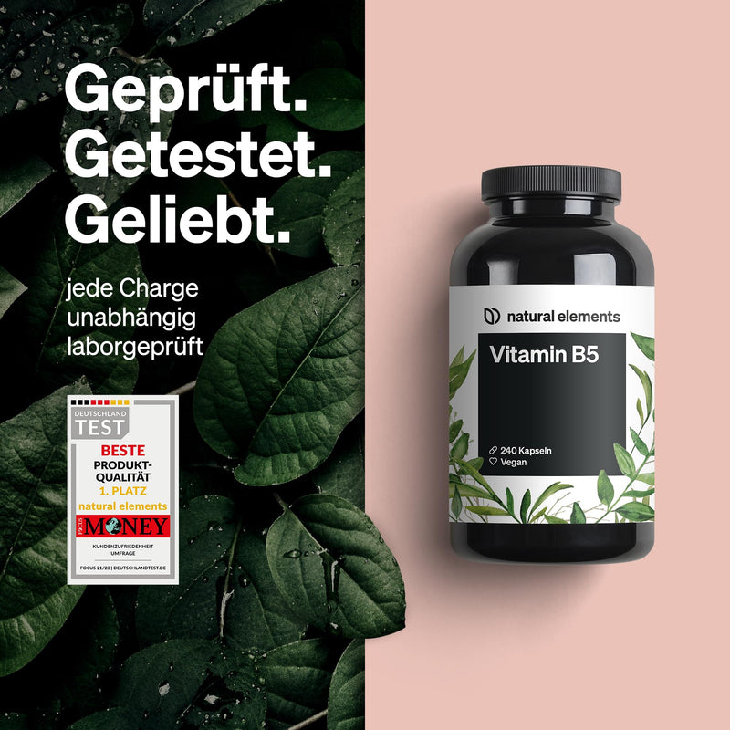 Vitamin B5 - 240 capsules - high dose 500 mg pantothenic acid - vegan - produced in Germany & laboratory tested - NewNest Australia