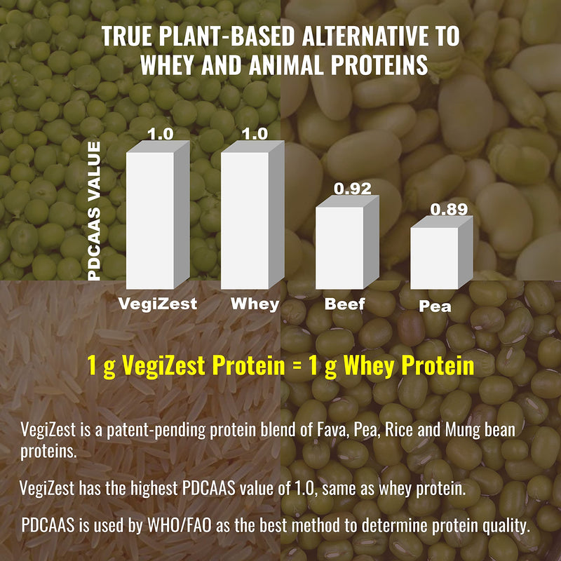 Plant Based Protein Powder Chocolate - Lactose & Dairy Free Protein Powder - Vegan Protein Shake Meal Replacement with Fava, Mung, Rice & Pea Protein, Low Carb, Keto, Sugar & Gluten Free, 21g Creamy Chocolate - NewNest Australia