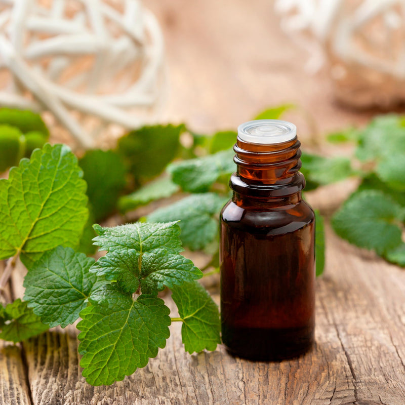 Essences Bulgaria Organic Japanese Mint Essential Oil 10 Ml | Mentha Arvensis | 100% Natural | Undiluted | Organic Certified | Top Quality From Family Business | No Genetic Engineering | Vegan - NewNest Australia