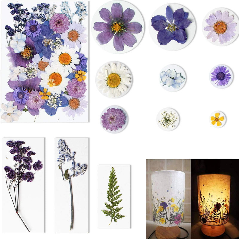 BIHRTC 100PCS Dried Pressed Leaf Flowers Natural Pressed Died Leaves Sunflowers Chrysanthemum Daisy Flowers Multiple Dry Flower for Craft Resin Jewelry Making Soap and Candle Making DIY Blue Purple - NewNest Australia