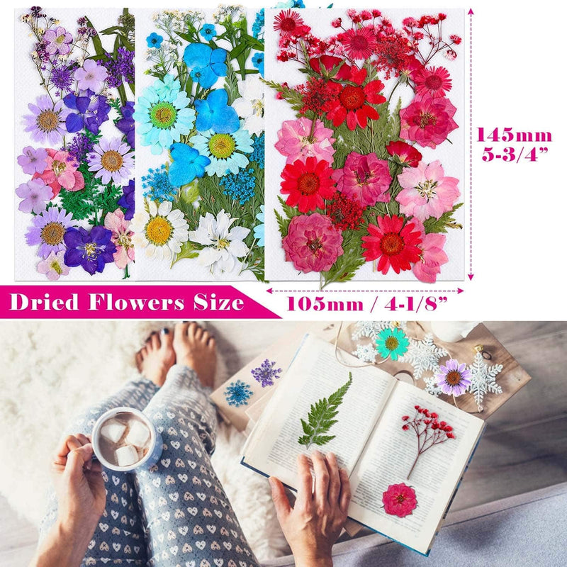 100Pcs Dried Flowers for Resin Molds, Thrilez Natural Dried Pressed Flower Herbs kit for Scrapbooking Supplies Card Making Supplies Resin Jewelry Soap and Candle Making(Blue, Purple, Red) - NewNest Australia