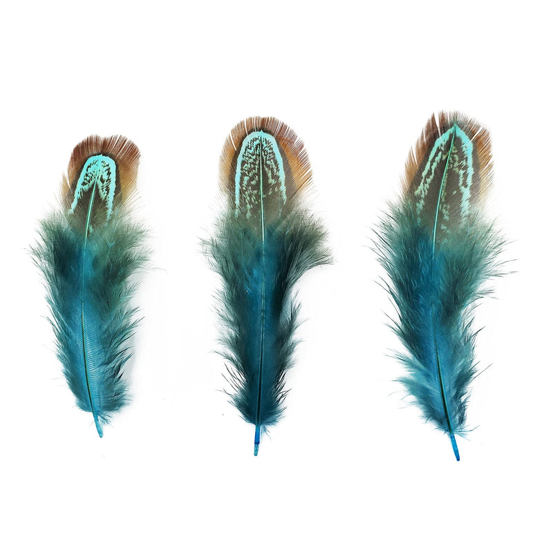 50 pcs Natural Pheasant Plumage Feathers 2-3 Inches Plumage Feathers for Sewing Crafts Clothing Decorating Accessories -Blue Blue 50pcs - NewNest Australia