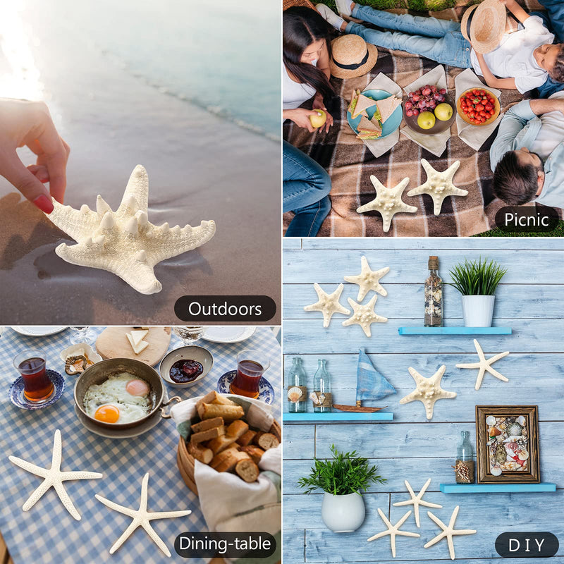 Maicodes 12 PCS Starfish | 2.5-6 Inch Starfish Decor | Natural Bulk Starfish Shells Perfect for Crafts Making Beach Theme Party Wedding Decoration, Home Wall Decor, Christmas Ornaments, Fish Tank - NewNest Australia