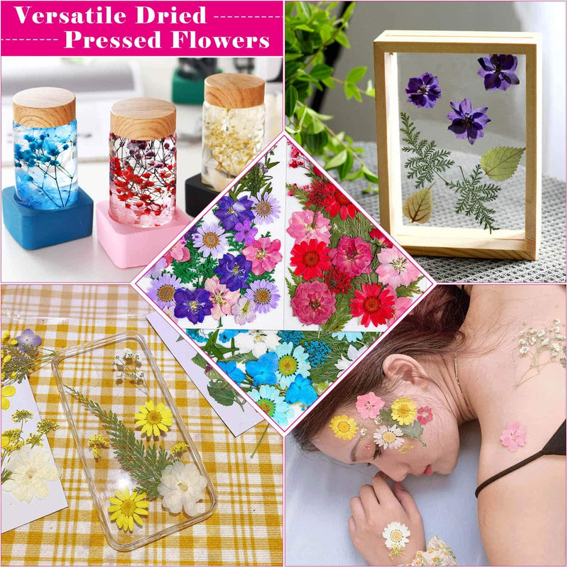100Pcs Dried Flowers for Resin Molds, Thrilez Natural Dried Pressed Flower Herbs kit for Scrapbooking Supplies Card Making Supplies Resin Jewelry Soap and Candle Making(Blue, Purple, Red) - NewNest Australia