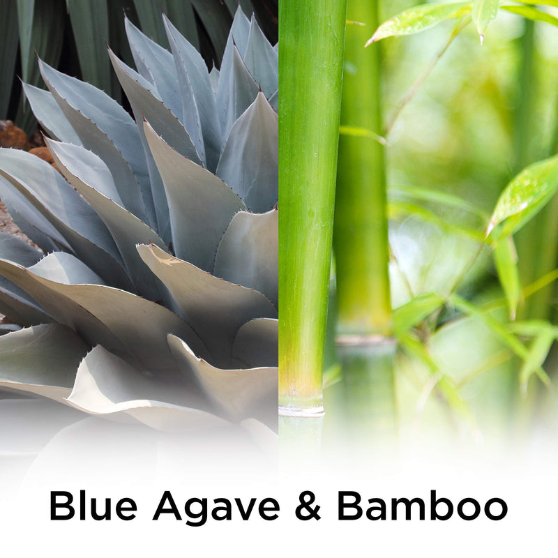 Air Wick Plug in Scented Oil Refill Freshener Essential Oils, Blue Agave and Bamboo, 5 Count - NewNest Australia