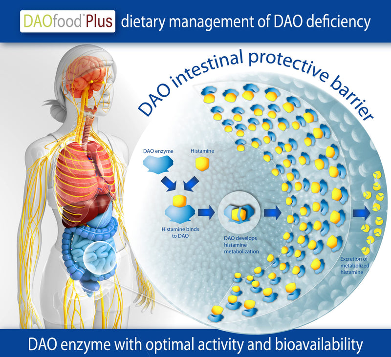 Daofood Plus - Dietary Supplement Dao Deficiency/Histamine Intolerance - 60 Efficient, Easily Digestible Entertainment Capsules - Digestive Enzymes - Dao Enzyme, Quercetin And Vitamin C - NewNest Australia