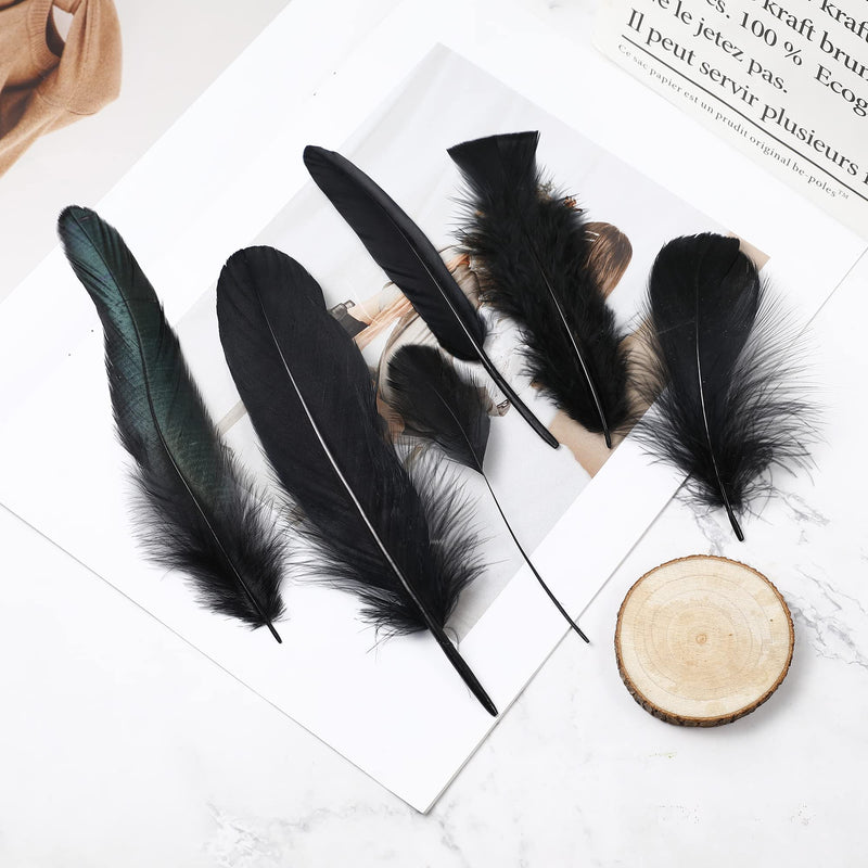 Larryhot Black Craft Feathers Bulk - 240pcs 6 Style Mixed Natural Feathers for Wedding Home Party, Dream Catcher Supplies and DIY Crafts (Black) - NewNest Australia