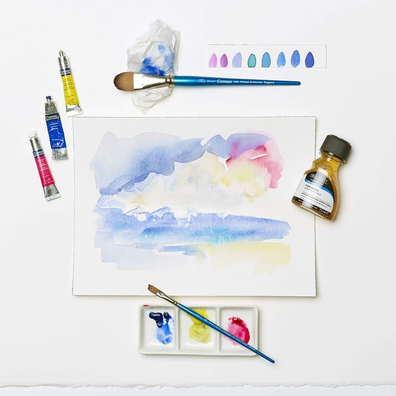 Winsor & Newton Cotman Water Colour Paint, 8ml tube, Alizarin Crimson Hue - NewNest Australia