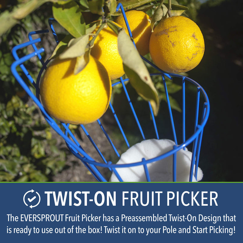 EVERSPROUT Twist-On Fruit Picker Basket | Twists onto Standard US Threaded Pole (3/4-inch ACME) | Fruit Harvester Attachment (Head Only, Pole Not Included) - NewNest Australia