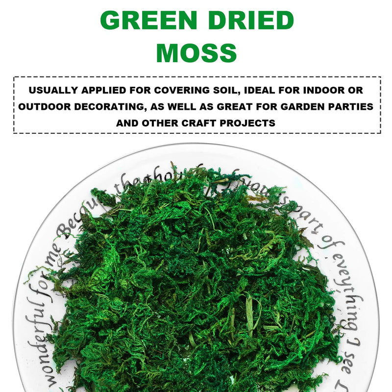 WILLBOND Artificial Moss Green Dried Moss Decorative Fake Bulk Moss for Flower Plant Garden Lawn Crafts Wedding Decoration - NewNest Australia