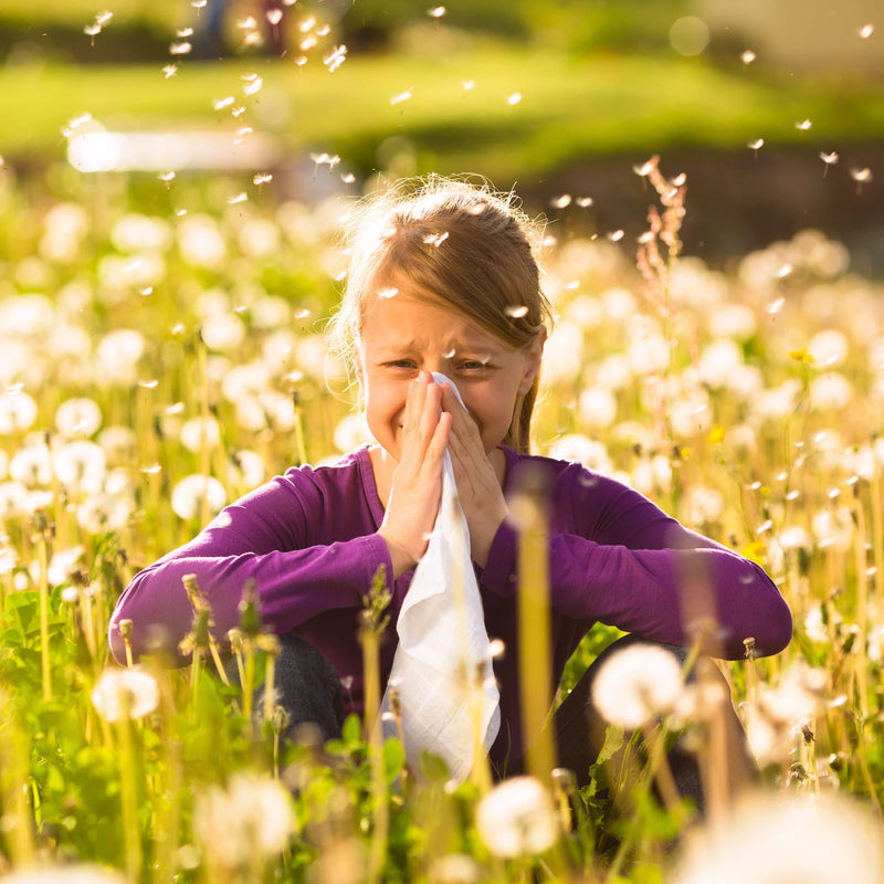 Pollival® nasal spray - The quick and strong defense against acute allergy symptoms, 10ml - NewNest Australia