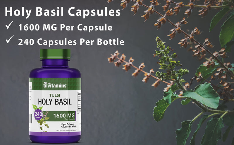 Holy Basil Capsules (1600 MG x 240 Capsules) | May Promote Stress & Frustration Relief* | Tulsi Holy Basil Leaf Extract Supplement | Adrenal Support, Adaptogenic, & Ayurvedic Herb | TNVitamins - NewNest Australia