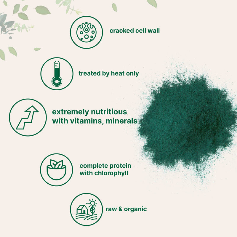 Organic Chlorella Powder, 16 Ounce (1lb), Broken Cell Wall, Rich in Vegan Proteins & Vitamins, Raw, Bulk Premium Chlorella Supplement, Vegan Friendly, Non-Irradiation 1 Pound (Pack of 1) - NewNest Australia