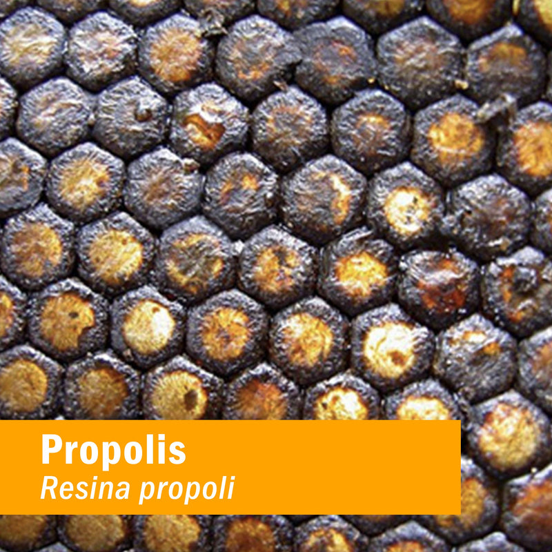 Herb Pharm Propolis Extract for Immune System Support - 1 Ounce 1 Fl Oz (Pack of 1) - NewNest Australia