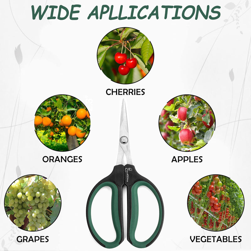 Hydroponic 60mm/40mm 2 pack Bonsai micro tip pruning shears (Stainless Steel) by Yieldcropper - NewNest Australia