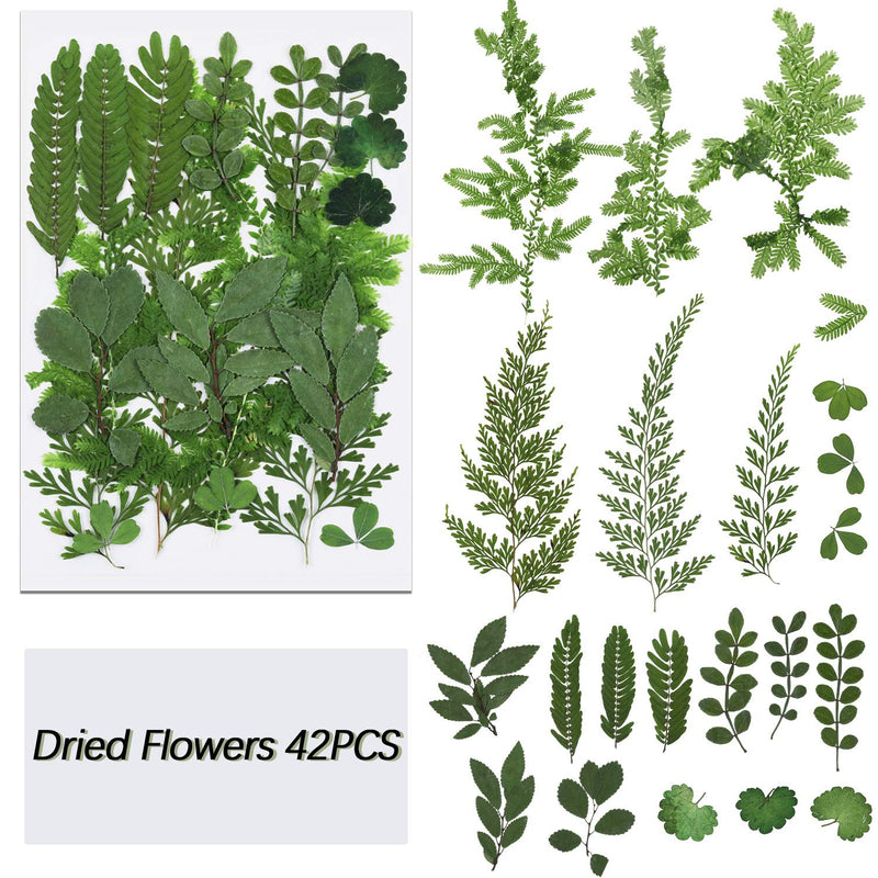42 Pieces Dried Greenery Dried Leaves for Resin Real Dried Pressed Flowers Assorted Real Dried Pressed Leaves Dry Leaves for Pressed Leaf Art Craft DIY Embellishment Decorations, 7 Styles - NewNest Australia