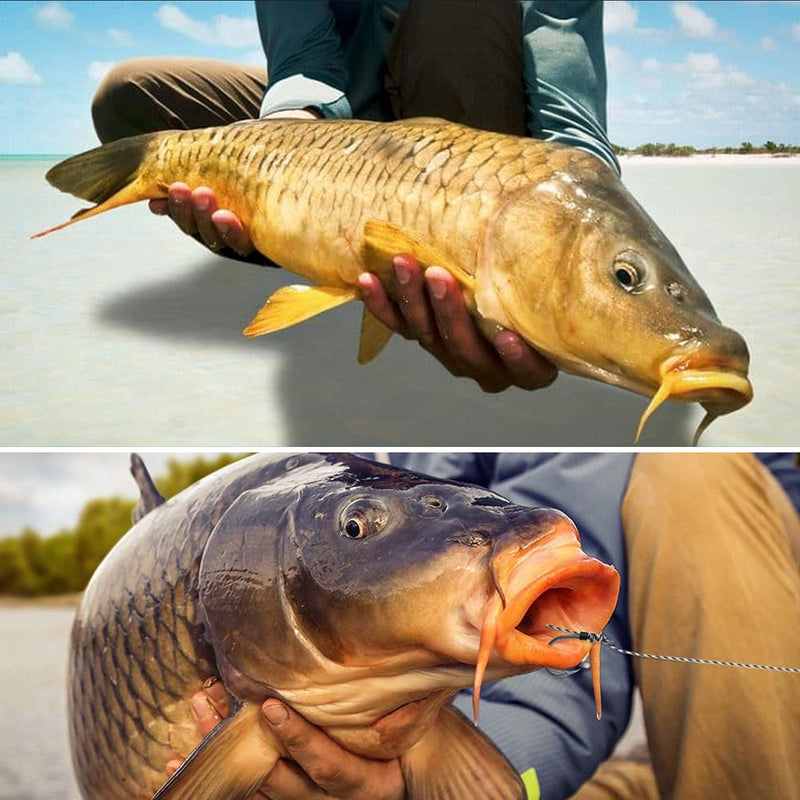 SILANON Carp Fishing Hair Rigs Kit,18pcs Braided Thread Boilies Carp Rigs with 3 Extender Boilie Bait Stops and Stringer Needle 18pcs Carp Rigs +3 Boilie Bait Stops+4 Bait Needle - NewNest Australia