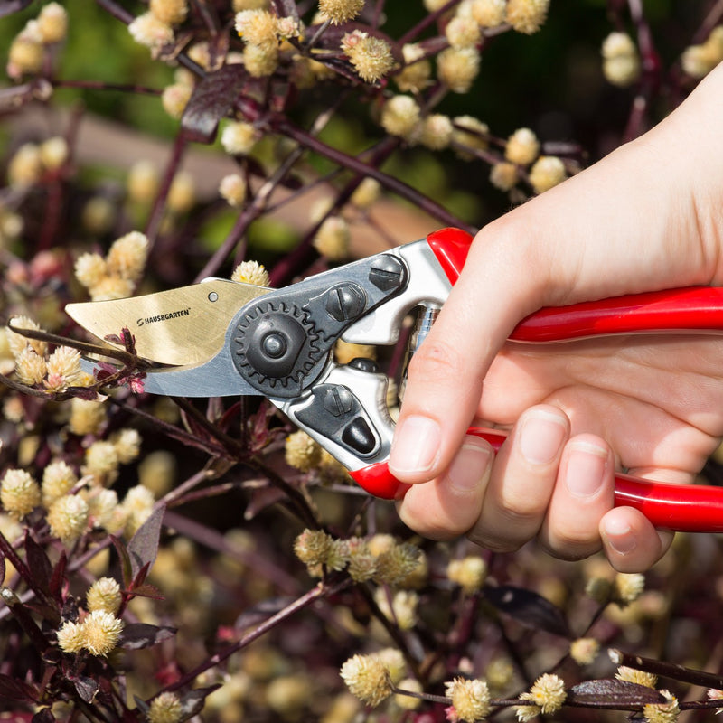 PrecisionPRO Titanium Pruning Shears - Best Bypass Pruner Garden Shears,Tree Trimmer - Ideal Shrub Plant Scissors & Rose Cutter Razor Sharp Hand Secateurs Ergonomic Gardening Tool for Effortless Cuts - NewNest Australia