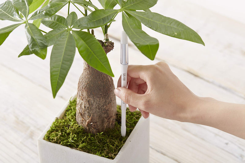Sustee Aquameter, Green, Small - Plant Soil Moisture Sensor - Best for Potted Plants (Refillable Style) - NewNest Australia