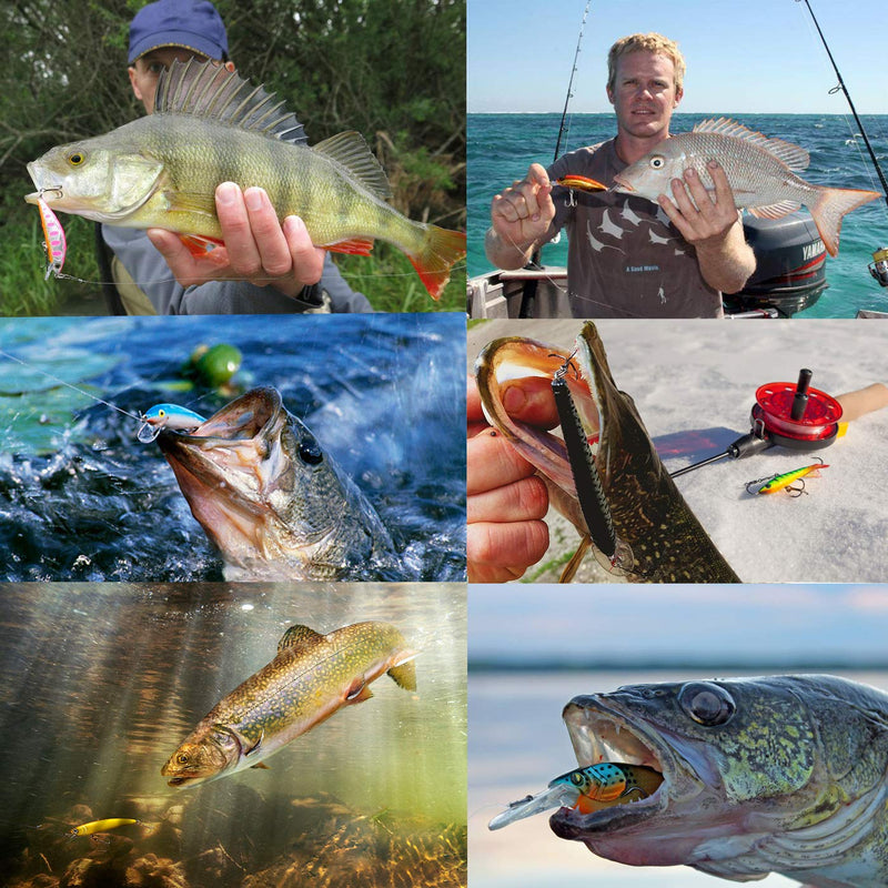 JSHANMEI 10pcs Hard Minnow Fishing Lures Bait Life-Like Swimbait Bass Crankbait for Pikes/Trout/Walleye/Redfish Tackle with 3D Fishing Eyes Strong Treble Hooks - NewNest Australia