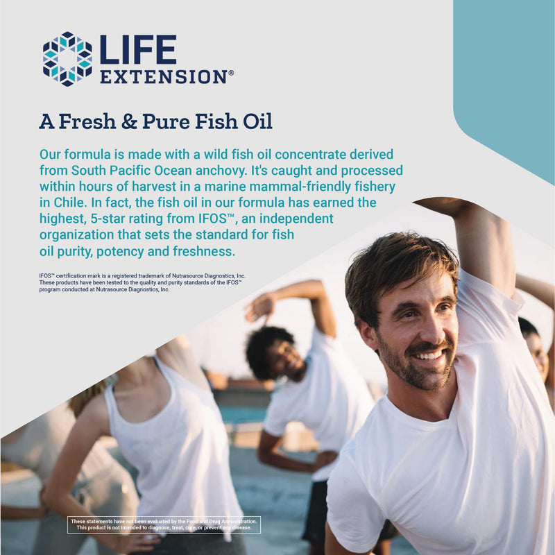 Life Extension Super Omega-3 Plus EPA/DHA Fish Oil, Sesame Lignans & Olive Extract - Heart Health & Brain Support Supplement - Easy-to-Swallow - Gluten-Free, Non-GMO - 240 Softgels 240 Count (Pack of 1) - NewNest Australia