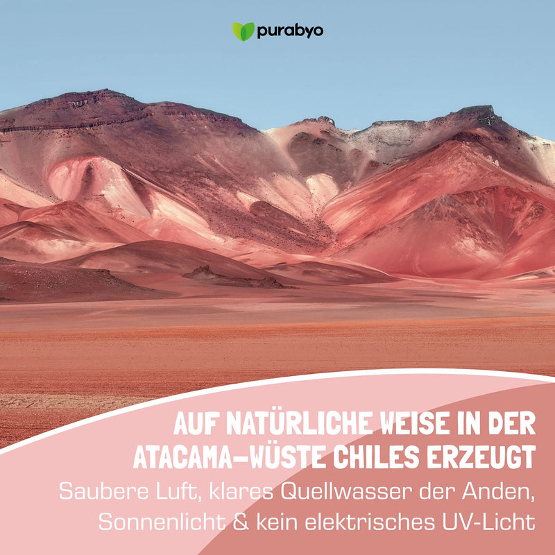 Natural ASTAXANTHIN vegan | in the glass | with oxidation protection in MCT oil | 4 mg pure astaxanthin in high doses | From the Atacama Desert | 2 month supply | from Haematococcus Pluvialis microalgae - NewNest Australia