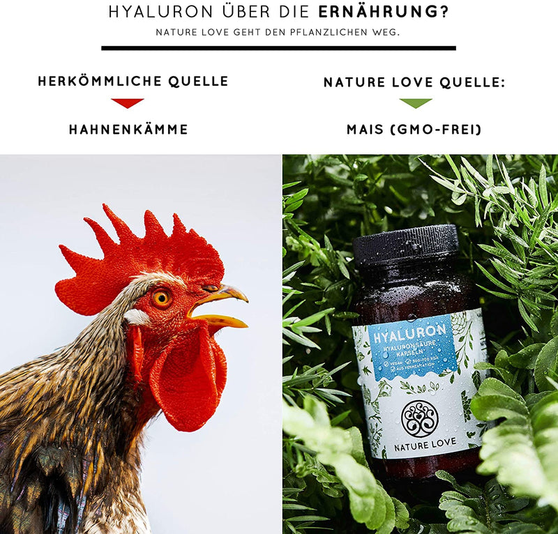 Nature Love Hyaluronic Acid Capsules - Comparison Winner 2019* - High Dose: Now 500Mg Instead Of 400Mg - 90 Pieces (3 Months) - 500-700 Kda - Laboratory Tested, Vegan, Made In Germany - NewNest Australia