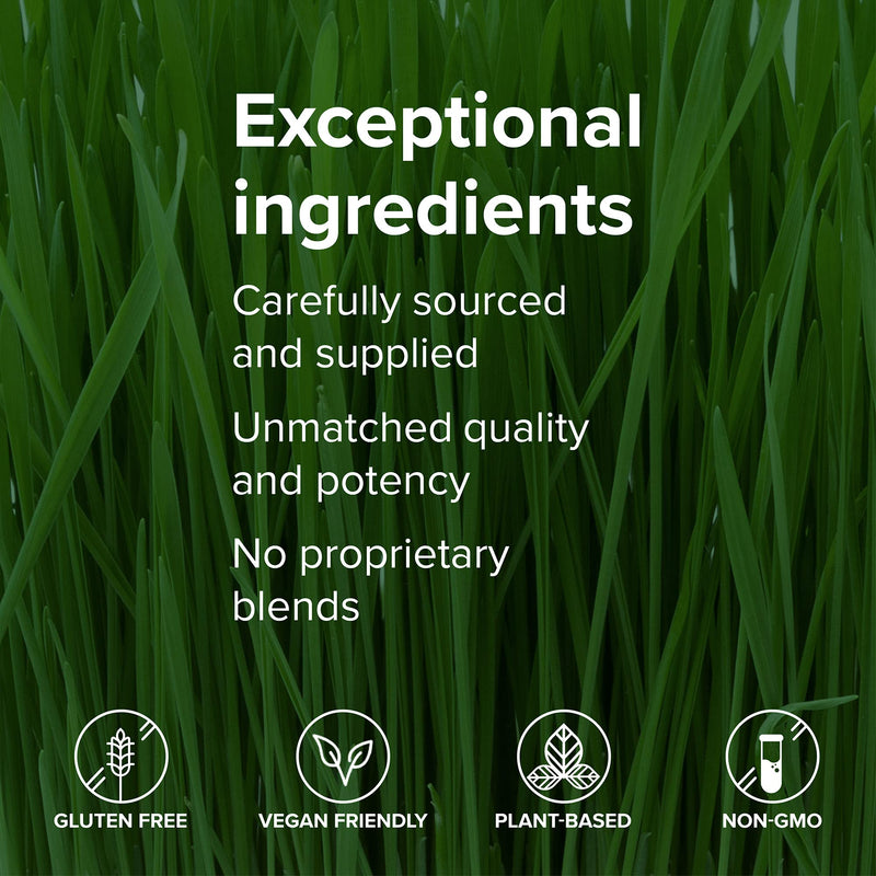 Vibrant Health, Green Vibrance, Vegan Superfood Powder, 15 Servings 15 Servings (Pack of 1) Standard Packaging - NewNest Australia