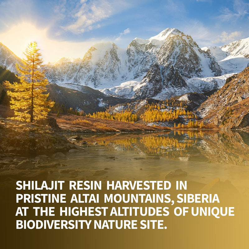 Premium Pure Shilajit Dry Drops by Siberian Green Altai "Golden Mountains" - 120 Count (200 mg) Authentic Safety & Quality Certificate - US Lab Tested Fulvic Acid - NewNest Australia
