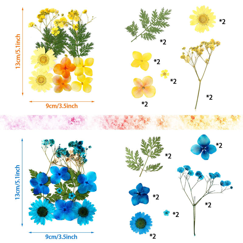 Pressed Flowers Resin Flowers for Resin Mold, Real Daisy Dried Flower Leaves Natural with Tweezers for Scrapbooking DIY Candle Accessories Jewelry Crafts Making (Colorful Style) Blue, Red, Yellow, Green - NewNest Australia