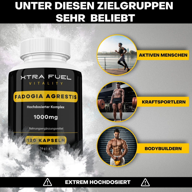 Fadogia Agrestis | 1000mg daily dose | 120 capsules (high dosage) | Natural Fadogia Agrestis Extract (10:1 Formula) | Popular with athletes and active people | Vegan and laboratory tested - NewNest Australia