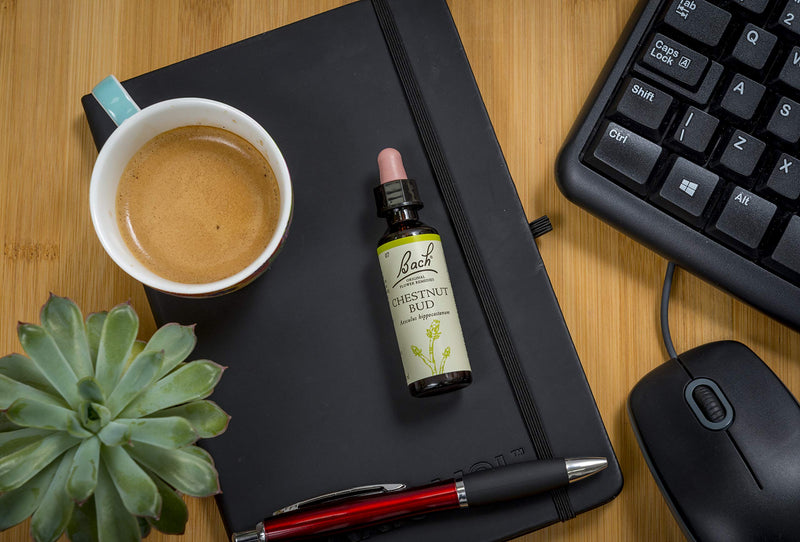 Bach Original Flower Remedy Chestnut Bud, Flower Essences, Vegan formula, Let me be me, An Individual and Personal Approach to Emotional Wellness, Easy to use, 1 Dropper Bottle x 20 ml - NewNest Australia