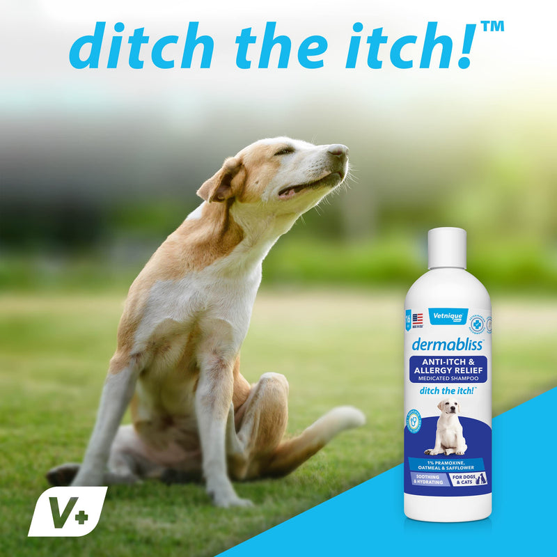 Vetnique Labs Dermabliss Anti Itch & Allergy Relief Medicated Dog Shampoo for Allergies and Itching with 1% Pramoxine HCL, Safflower Seed Oil, and Oat Extract for Dogs and Cats 16oz … - NewNest Australia