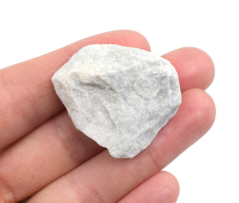 Coarse White Marble, Metamorphic Rock Specimen - Approx. 1" - Geologist Selected & Hand Processed - Great for Science Classrooms - Eisco Labs - NewNest Australia